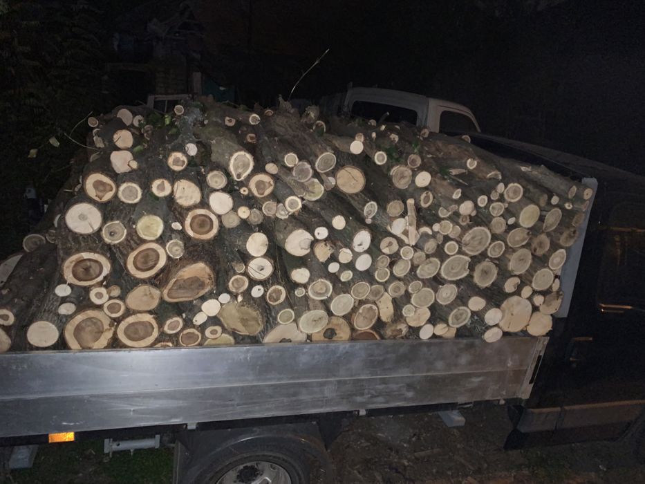 Transport moloz / moluz, nisip, balastru, lemn, mobila etc