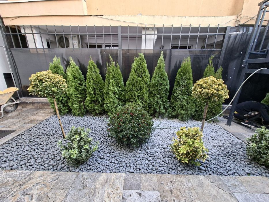 Amenajări grădini de la A la Z gazon si plante ornamentale