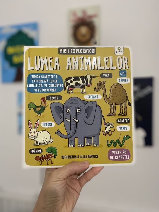 Carte Micii Exploratori