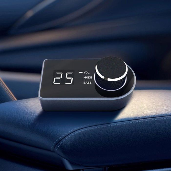 GOLDHORN DSP Remote Controller — Проводной пульт