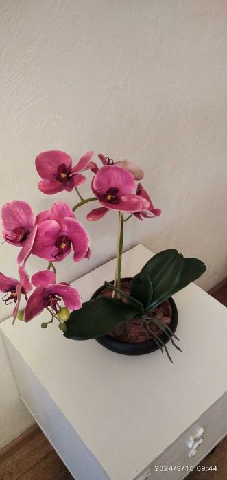 Орхидея, украшение для спален, ванных комнат