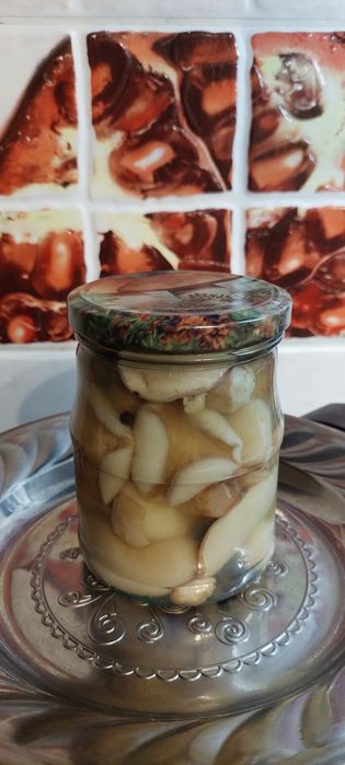 Грибы маслята маринованые