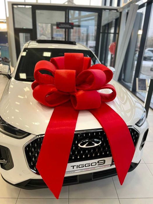 На прокат метровый Бант на автомобиль подарочный (бантик)