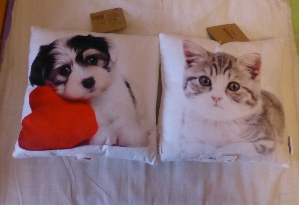 Pernute perne cu imprimeu catelus si pisica noi