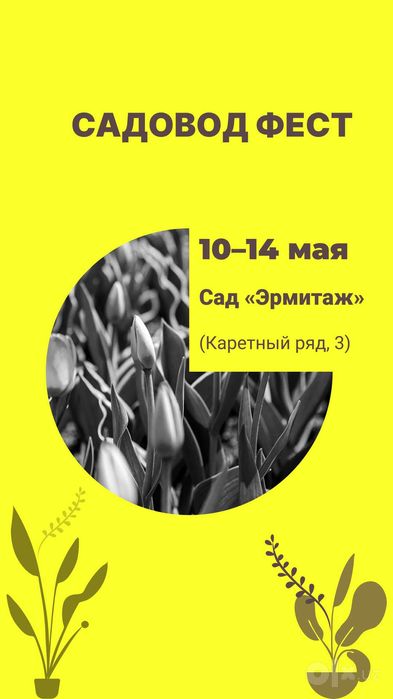 Разработка резюме (CV),портфолио и сайта на Tilda | Графический дизайн
