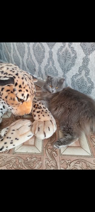 Одам добрые руки