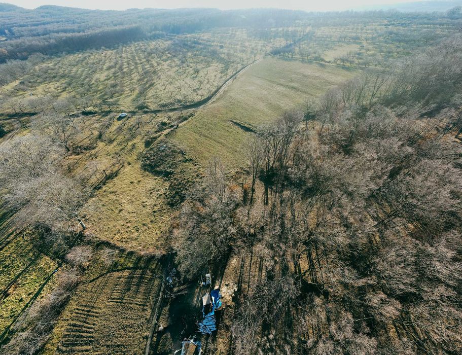 Teren 9.100 mp lângă pădure, utilități  – panoramă superbă – Udești