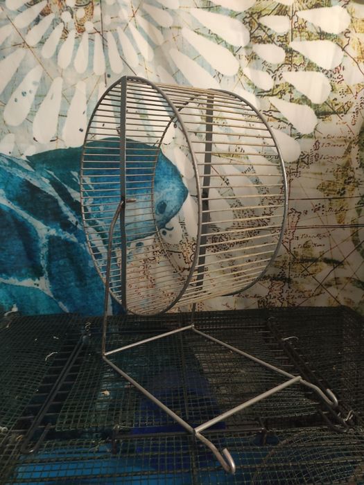 Беговое колёсико для грызунов