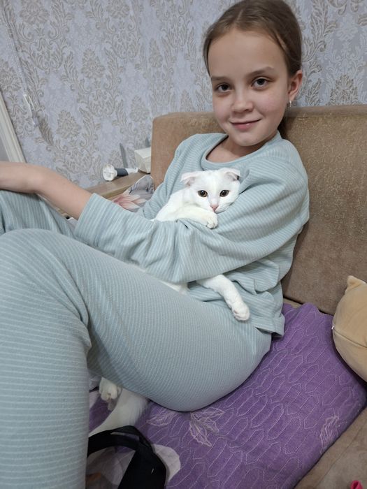 Кошка 1годик, вислоухая
