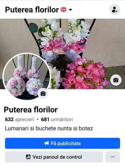 Cadou ceas cu licheni