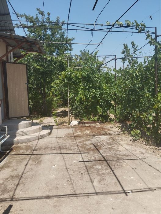 Отличная дача по супер цене огород басейн