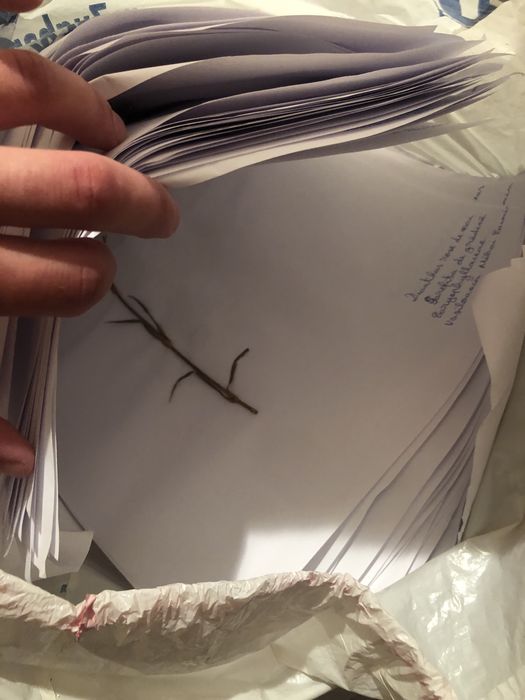 Ierbar 100 de plante