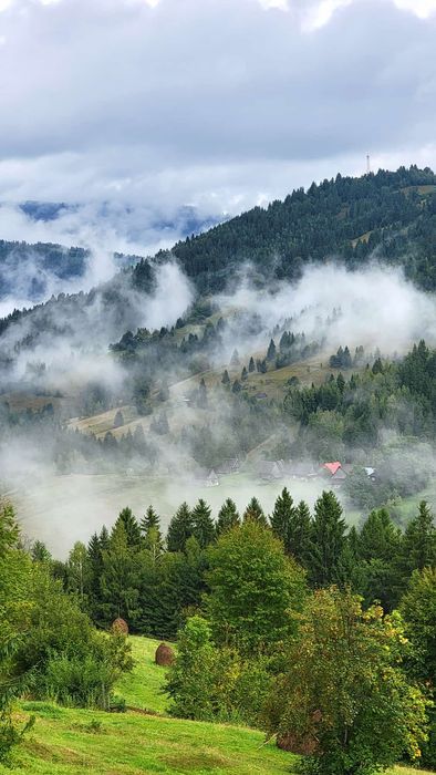 Cabana  A-frame Apuseni