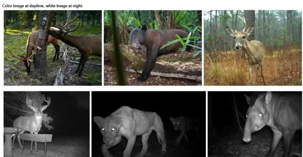 Нови 16MP Ловна камера Suntek HC350M ULTRA MMS EMAIL SIM нощно виждане