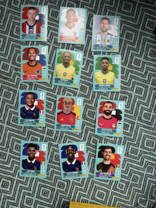 Stickere panini