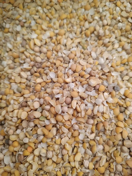Продам горох дробленный