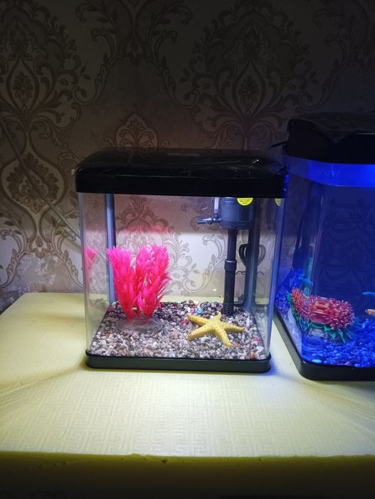 Xitoy akril akvarium komplekti