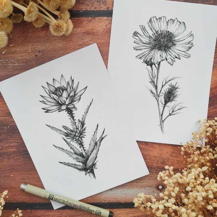 Малки графики на различни видове цветя, рисунки