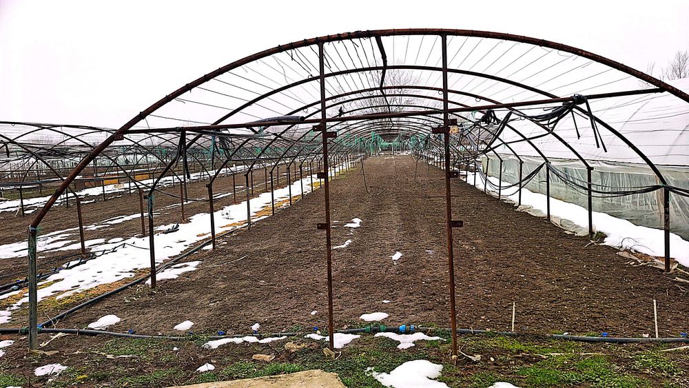 Schelet Solarii Grădină