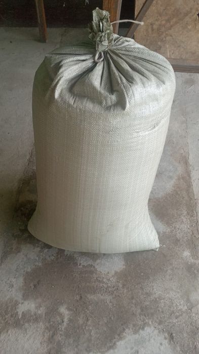 Семена веника качественые