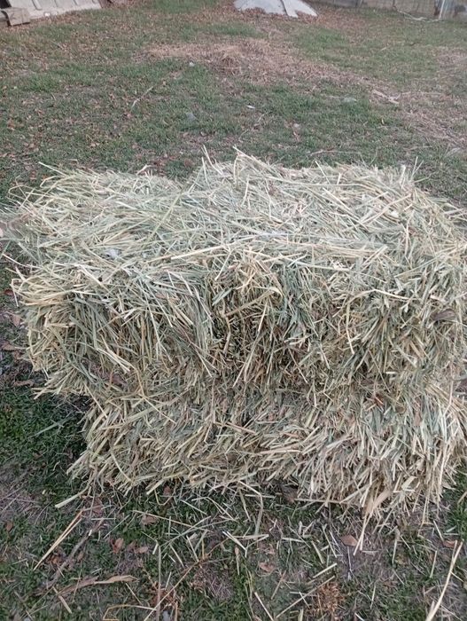 Сено          Шоп