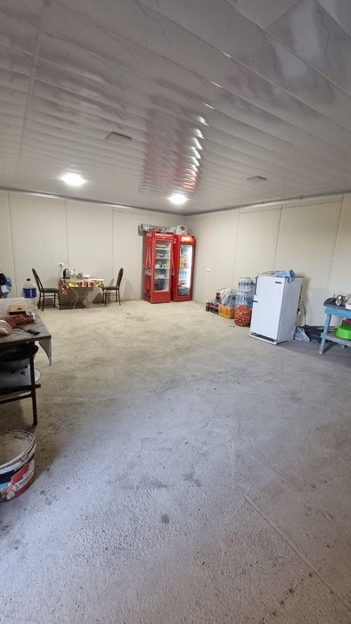 Бино сотиладииии