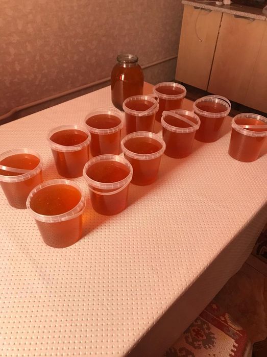Продам натуральный мед