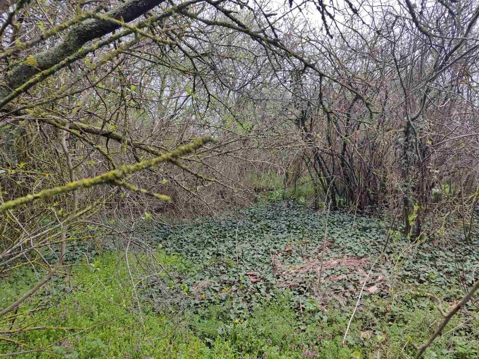 Стара къща в Змеево