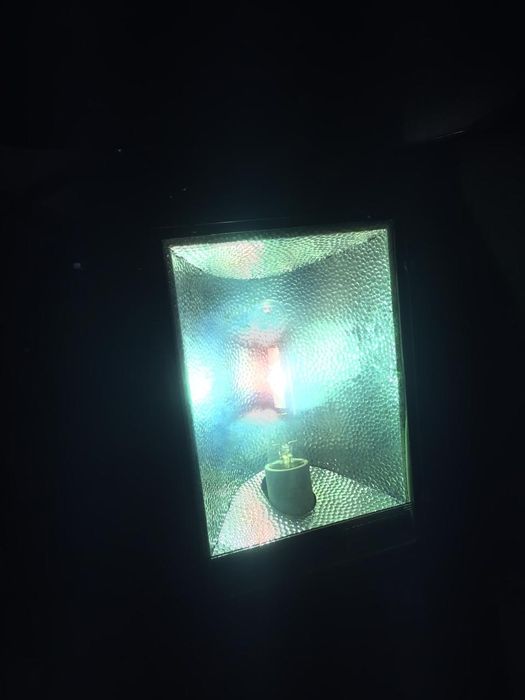 Светильник с металогалогенные лампами