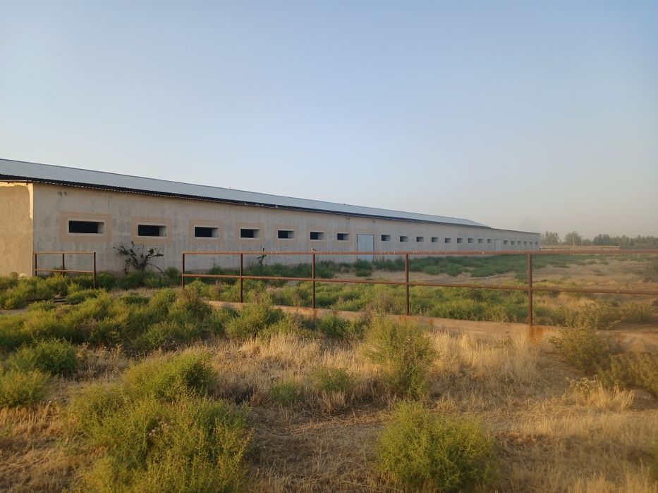 Здание и сооружение, Большая современная ферма