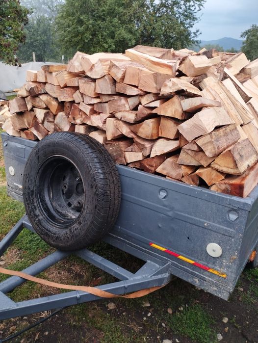 Lemne de foc fag capete uscate sau verzi 600.lei tona