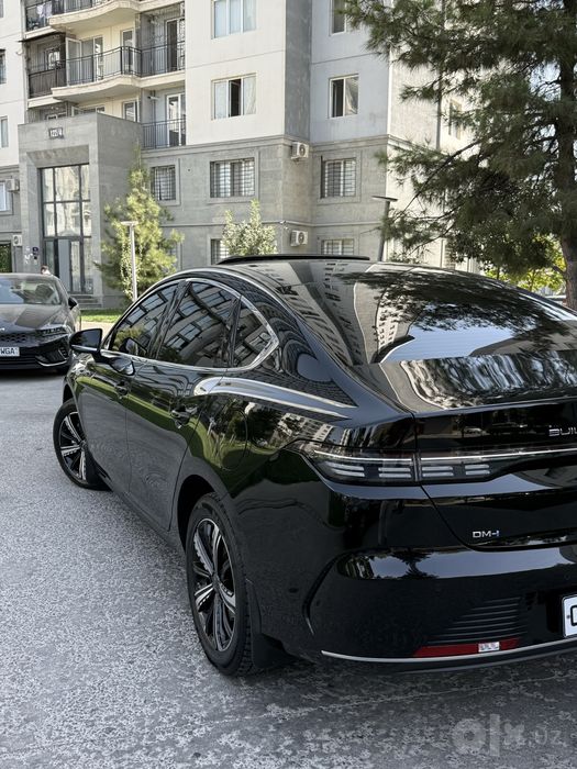 2025 4 poz chazor bitta detalda bor