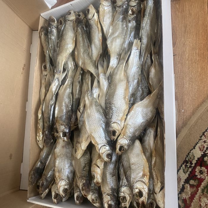 Бовла свежая.