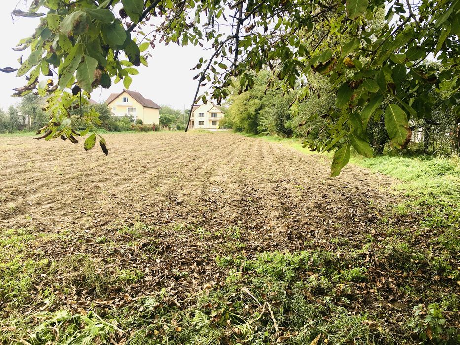 Vand casa cu anexe si teren intravilan