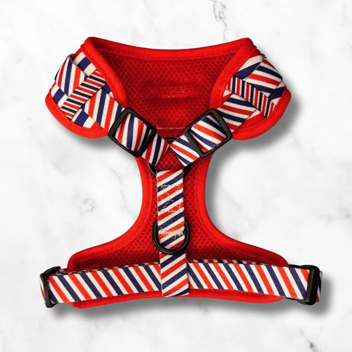 Кучешки нагръдник и повод - различни модели