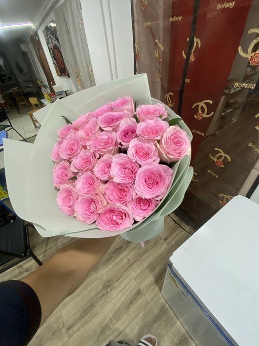 Цветы роза срочна прадаю!