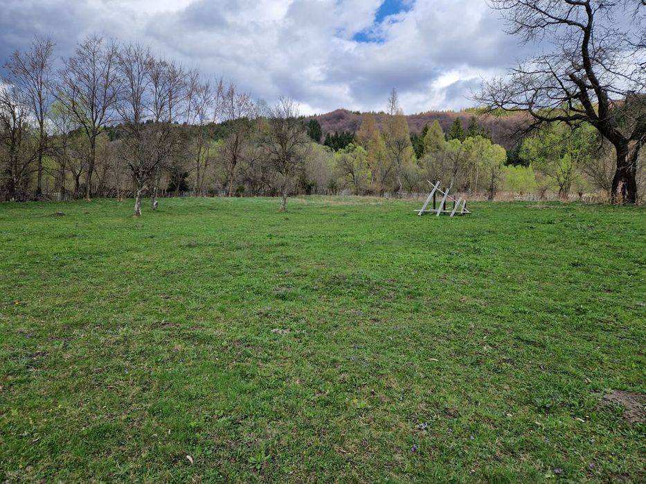 Teren de vânzare Valea Doftanei