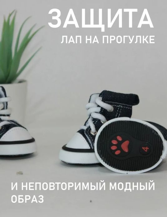 Кеды (обувь) для собак! Размер 2