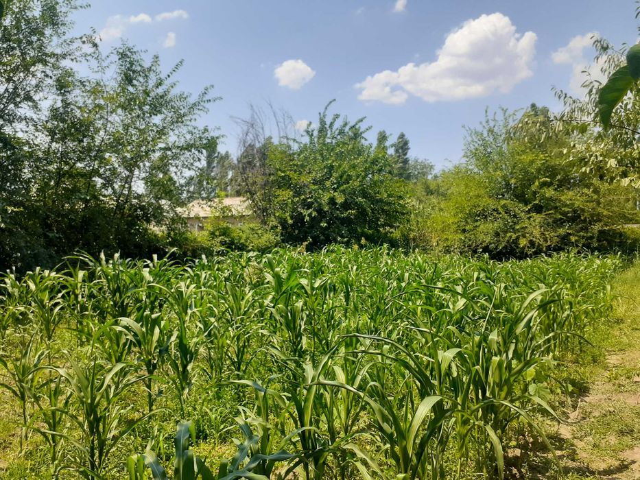 продается участка в Aнгрене