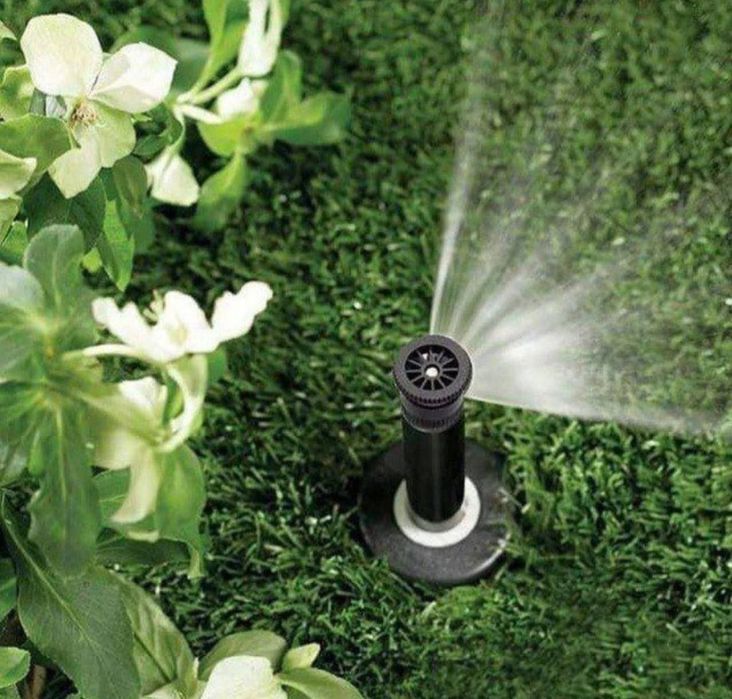 Рулонный газон газон уруг екиш хизмати