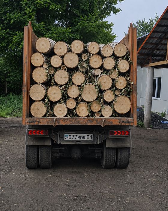 Дрова тополь на дрова