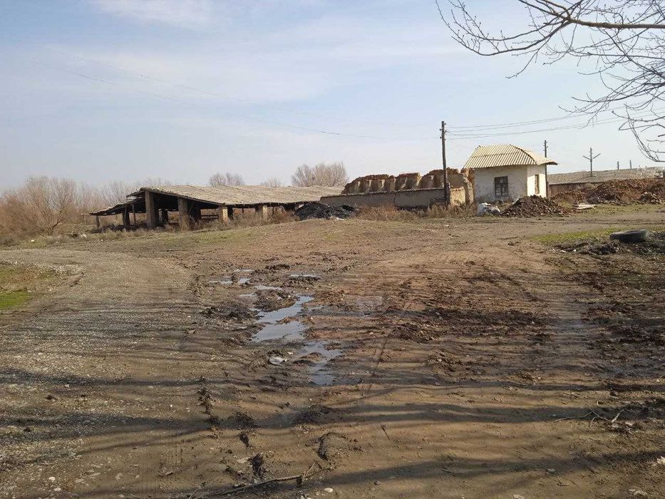 Хатирчида Гиш завод сотилади