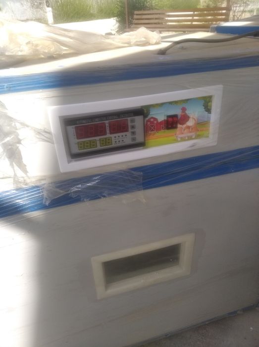 Инкубатор жу́жа чикарадиган