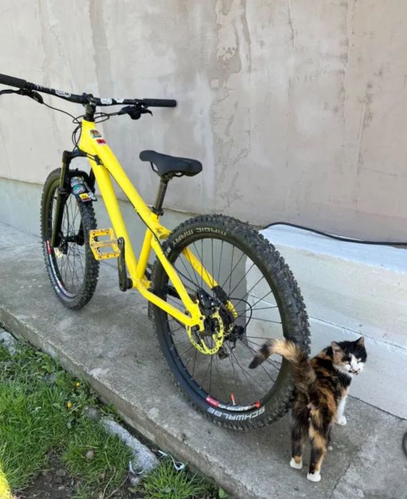Hardtail Aztec Impulse