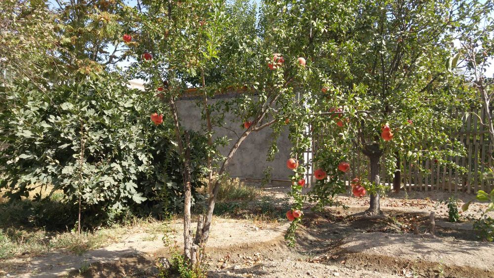 Продажа коттеджа в коттеджном доме