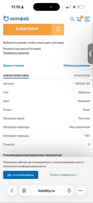 Зимние дутики для девочек 22-23