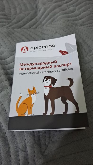 Продам Дратхаар кобеля щенка