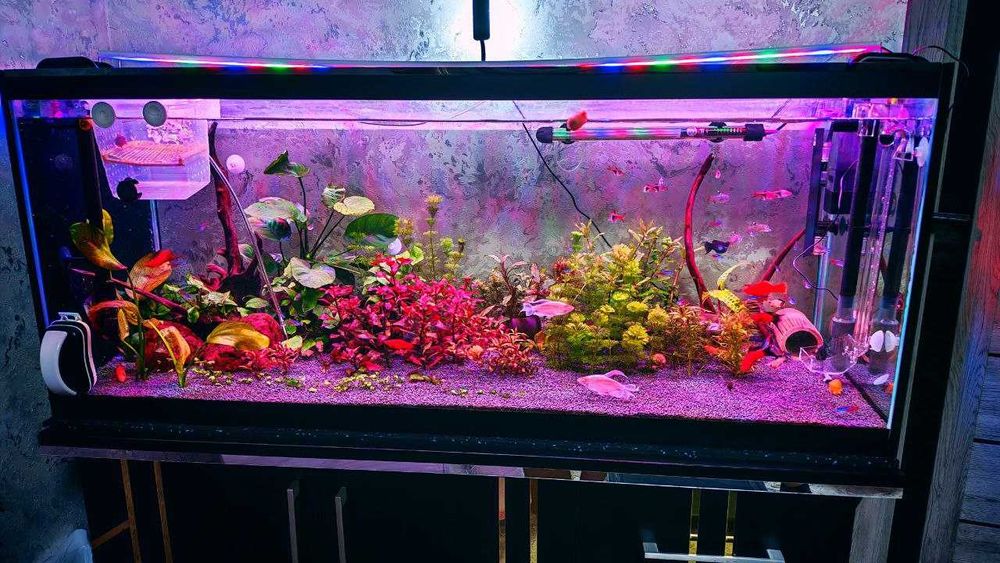 Продается Аквариум с тумбой