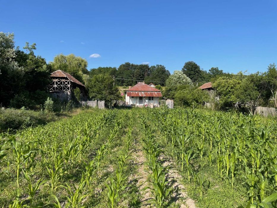 Vand Casa + teren 12.000 mp in Cernisoara, sat Modoia, Valcea