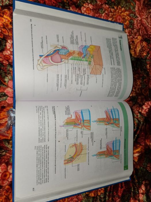 Медицинские книги
